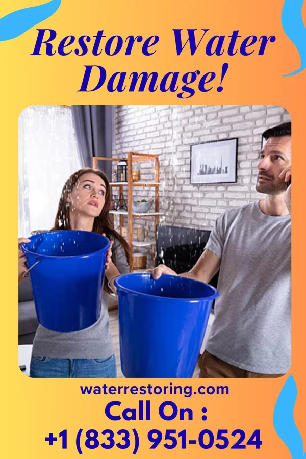 water restoration Stellar Water Damage Company Williamsburg