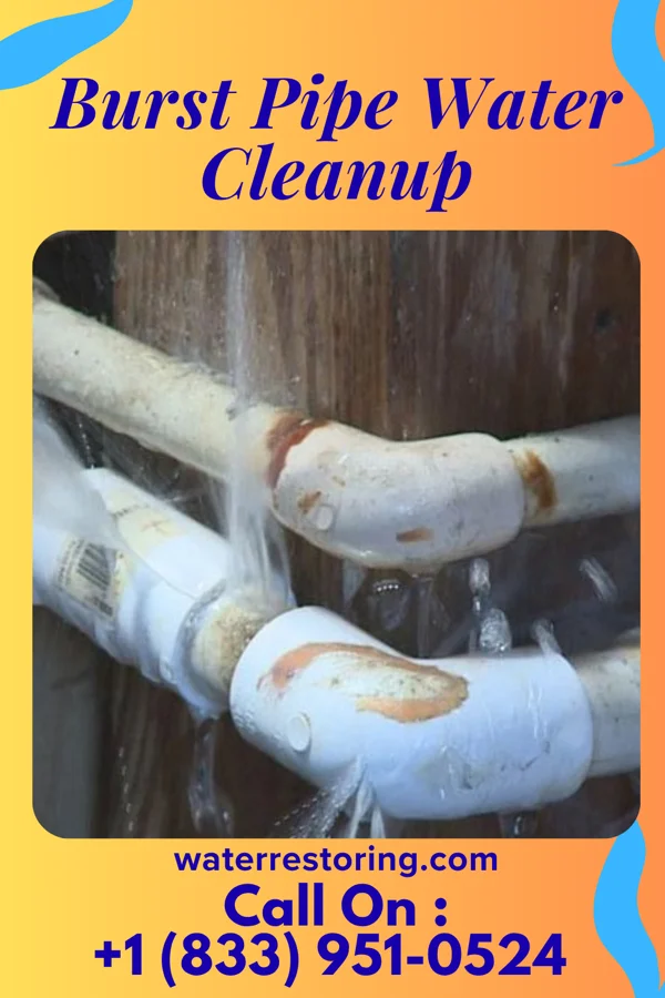 Burst Pipe Water Cleanup in Williamsburg, PA