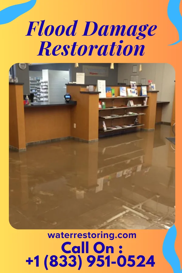 Flood Damage Restoration in Williamsburg, PA