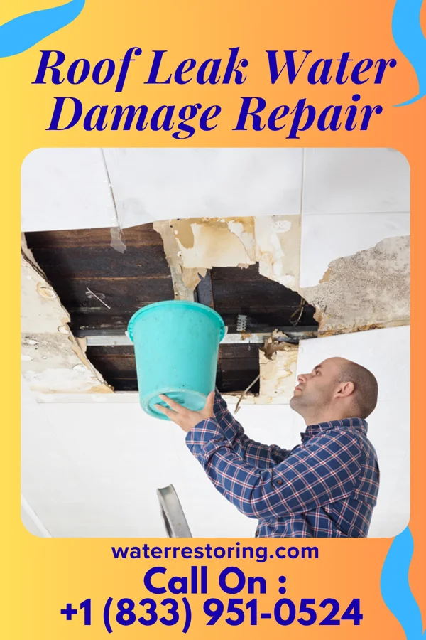 Roof Leak Water Damage Repair in Williamsburg, PA