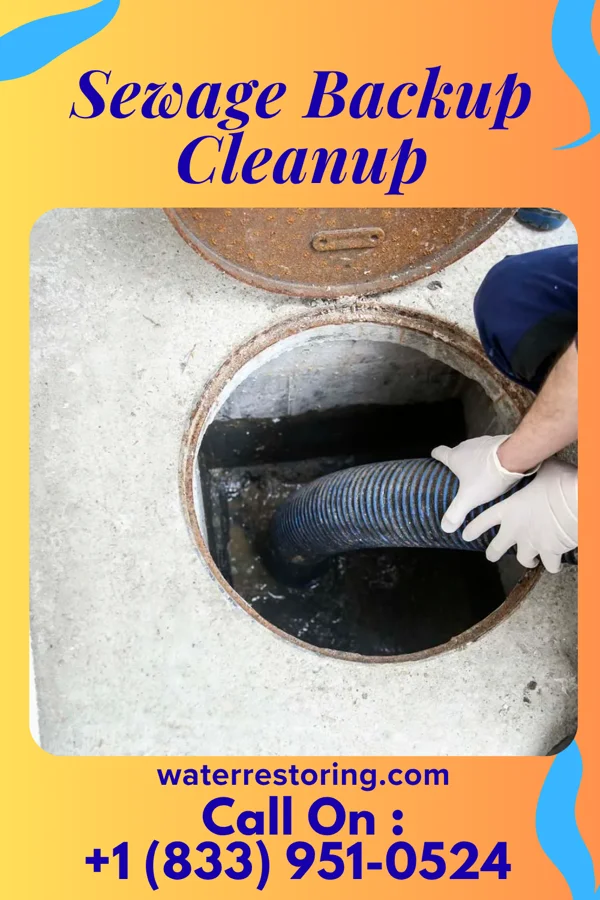 Sewage Backup Cleanup in Williamsburg, PA