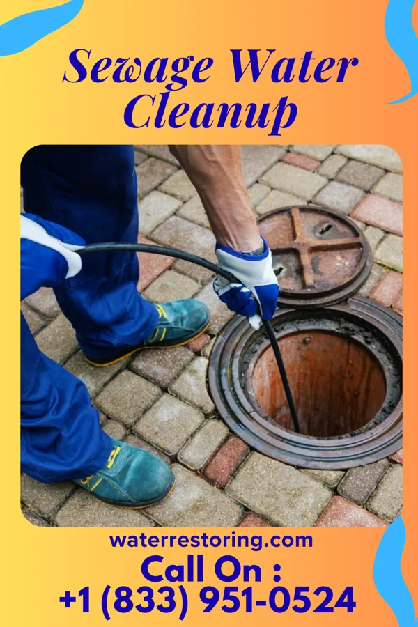 Sewage Water Cleanup in Williamsburg, PA