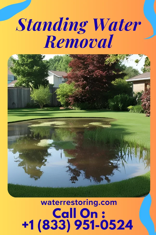 Standing Water Removal in Williamsburg, PA
